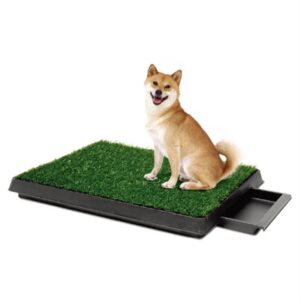 Pet Lawn Potty Training Toilet