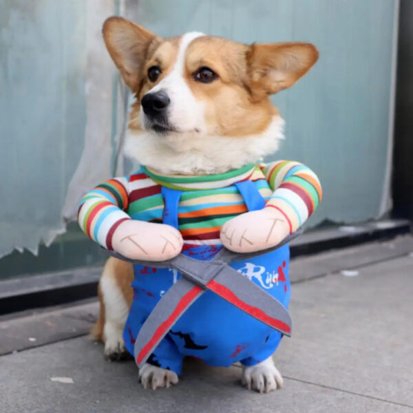 dd0db2a2-031e-4f3d-b6f2-ed5aa729066c.jpg Scissor Halloween Pet Costume