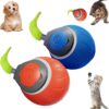 f2d15b7b-bf1c-446c-903f-c4e39cf86718.jpg Interactive USB Rechargeable Cat Ball Toy