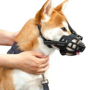 Adjustable Anti-Bite Dog Muzzle