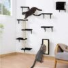 Wall Mounted Cat Climber Set
